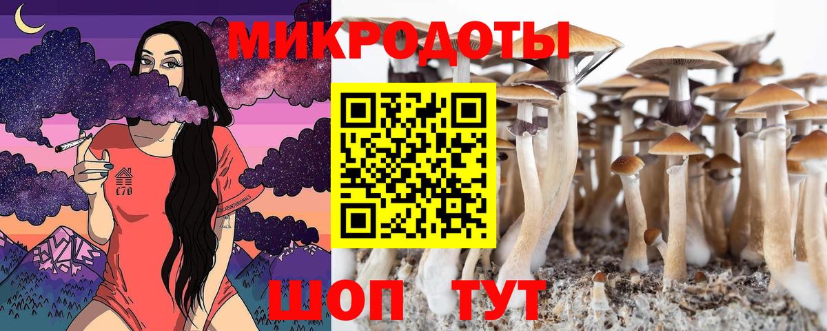 Людиново  Псилоцибиновые грибы мицелий  Вход с VPN 